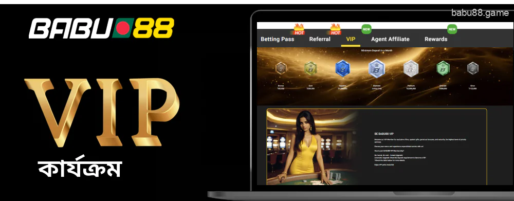 Babu88 এর ভিআইপি প্রোগ্রাম